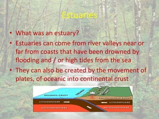 Estuaries
• What was an estuary?
• Estuaries can come from river valleys near or
far from coasts that have been drowned by
flooding and / or high tides from the sea
• They can also be created by the movement of
plates, of oceanic into continental crust
 