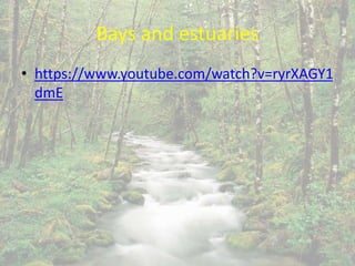 Bays and estuaries
• https://www.youtube.com/watch?v=ryrXAGY1
dmE
 