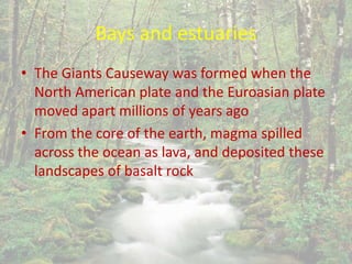 Bays and estuaries
• The Giants Causeway was formed when the
North American plate and the Euroasian plate
moved apart millions of years ago
• From the core of the earth, magma spilled
across the ocean as lava, and deposited these
landscapes of basalt rock
 