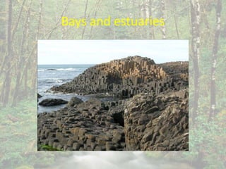 Bays and estuaries
 