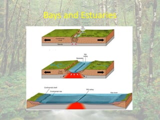 Bays and Estuaries
 