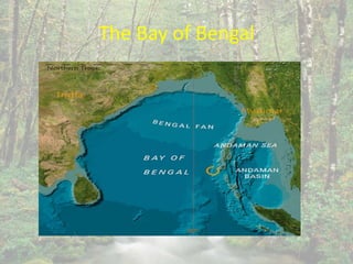 The Bay of Bengal
 