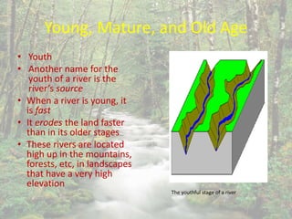 Young, Mature, and Old Age
• Youth
• Another name for the
youth of a river is the
river’s source
• When a river is young, it
is fast
• It erodes the land faster
than in its older stages
• These rivers are located
high up in the mountains,
forests, etc, in landscapes
that have a very high
elevation
The youthful stage of a river
 