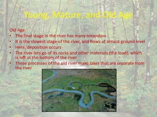 Young, Mature, and Old Age
Old Age
• The final stage in the river has many meanders
• It is the slowest stage of the river, and flows at almost ground level
• Here, deposition occurs
• The river lets go of its rocks and other materials (the load), which
is left at the bottom of the river
• These processes of the old river make lakes that are separate from
the river
 