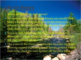 Life on Rivers
 Rivers are full of life and nature!
 In countries like America and Russia you usually find
  bears which stay in groups next to the rivers or in
  caverns by themselves. Bears mostly stay there for food
  (fish, deers, etc...) and water.
 You can even find beavers which make lodges and
  dams out of wood. They live in families in one area of
  the river or move about.
 The water in the rivers also provides its water to plants
  growing around it creating small forests around it with
  trees taller than the ones further off the river bank.
 
