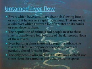 Untamed river flow
 Rivers which have secondary channels flowing into it
  or out of it have a very rapid movement. That makes it
  a wild river which throws a lot of it water on its banks
  or even drowns them.
 The population of animals and people next to these
  river is usually very low because of the dangerous flows
  of these rivers.
 Even building dams there is a dangerous job, so the
  rivers are left like they are or secondary rivers are
  partially closed for safer flow.
 The only people who go there are extremists which use
  these rivers for canoeing and other extreme sports.
 