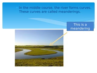  In the middle course, the river forms curves.
These curves are called meanderings.
This is a
meandering
 