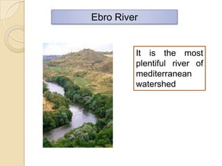 Mediterranean Rivers Rivers, climate and vegetation2 5th grade | PPT