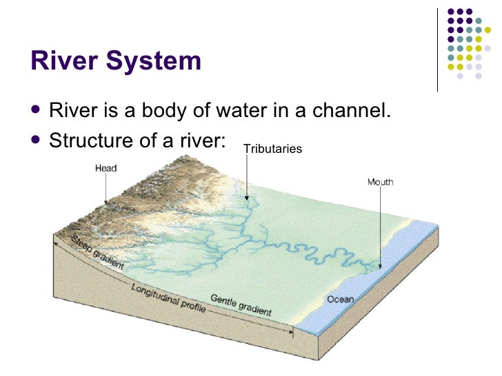 Rivers & Environments