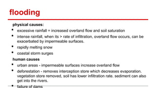flooding
physical causes:
• excessive rainfall = increased overland flow and soil saturation
• intense rainfall, when its > rate of infiltration, overland flow occurs, can be
exacerbated by impermeable surfaces.
• rapidly melting snow
• coastal storm surges
human causes
• urban areas - impermeable surfaces increase overland flow
• deforestation - removes interception store which decreases evaporation.
vegetation store removed, soil has lower infiltration rate. sediment can also
get into the rivers.
• failure of dams
 