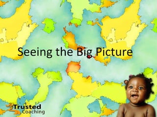 Seeing the Big Picture 