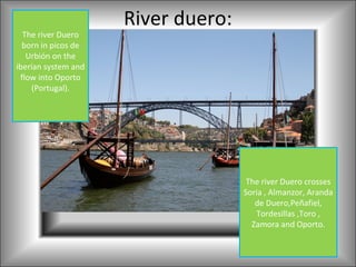 River duero:
  The river Duero
  born in picos de
   Urbión on the
iberian system and
 flow into Oporto
    (Portugal).




                                     The river Duero crosses
                                    Soria , Almanzor, Aranda
                                       de Duero,Peñafiel,
                                       Tordesillas ,Toro ,
                                      Zamora and Oporto.
 