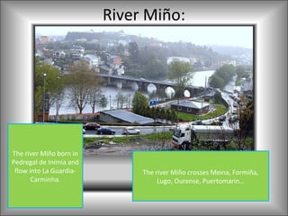 River Miño:




The river Miño born in
Pedregal de Inimia and
 flow into La Guardia-        The river Miño crosses Meina, Formiña,
       Carminha.                   Lugo, Ourense, Puertomarin…
 
