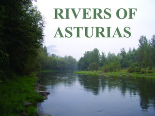 RIVERS OF
ASTURIAS
 