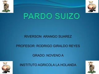 PARDO SUIZO RIVERSON  ARANGO SUAREZ PROFESOR: RODRIGO GIRALDO REYES GRADO: NOVENO A INSTITUTO AGRICOLA LA HOLANDA 
