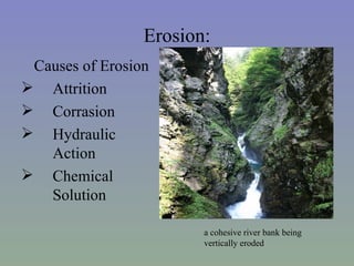Erosion:
 Causes of Erosion
 Attrition
 Corrasion
 Hydraulic
   Action
 Chemical
   Solution

                        a cohesive river bank being
                        vertically eroded
 