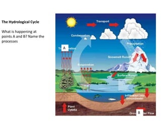 The Hydrological Cycle
What is happening at
points A and B? Name the
processes
A
B
 