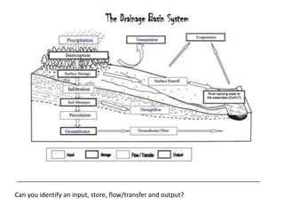 Can you identify an input, store, flow/transfer and output?
 