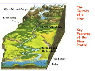 The
Journey
of a
river
Key
Features
of the
River
Profile
Meander and
Ox Bow Lake
V Shaped Valley
Waterfalls and Gorges
 