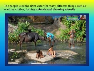 The people used the river water for many different things such as
washing clothes, bathing animals and cleaning utensils.
 