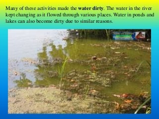 Many of these activities made the water dirty. The water in the river
kept changing as it flowed through various places. Water in ponds and
lakes can also become dirty due to similar reasons.
 