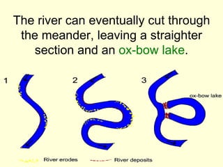 The river can eventually cut through
 the meander, leaving a straighter
   section and an ox-bow lake.
 