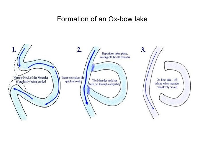Rivers Year 11 Rivers Year 11