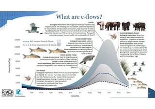 The SDGs and Environmental Flows | PDF