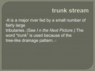 -It is a major river fed by a small number of 
fairly large 
tributaries. (See I n the Next Picture.) The 
word “trunk” is used because of the 
tree-like drainage pattern. 
 