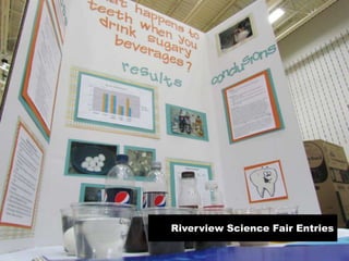 Riverview Science Fair Entries
