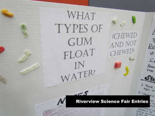 Riverview Science Fair Entries