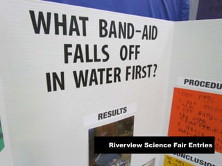 Riverview Science Fair Entries