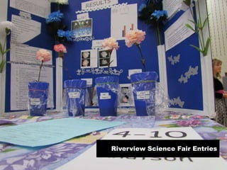 Riverview Science Fair Entries