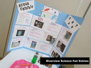 Students and parents attended an Awards Presentation at the conclusion of the Science Fair Riverview Science Fair Entries