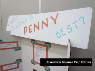 Riverview Science Fair Entries