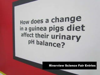 Riverview Science Fair Entries