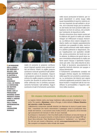 G G G 26 FACCIATE M&T settembre·dicembre 2006
malte di cemento si possono verificare
severi degradi quando sono presenti sol-
fati nei laterizi. Infatti, le argille possono
contenere notevoli quantità di sali solfati-
ci (solfati di sodio e di potassio). O ppure
i sali possono prodursi durante la fase di
cottura (le argille possono contenere del-
la pirite che durante la cottura libera ani-
dride solforosa che si combina successi-
vamente formando i sali solfatici). O ggi il
contenuto di sali è fortemente aumentato
nelle nuove produzioni di laterizi, per ra-
gioni dipendenti in primo luogo dalla
quasi impossibilità di reperire materie pri-
me non inquinate da sali solfatici o da pi-
rite, ed in secondo luogo per la costrizio-
ne del riciclo dei fumi prodotti dalla com-
bustione nei forni di cottura, che arricchi-
sce l’ambiente di impurità di zolfo.
Grande attenzione deve essere posta sul-
la stilatura dei giunti di malta per evitare
ristagni ed infiltrazioni d’acqua meteori-
ca. La stilatura deve essere eseguita me-
diante malte con impasto appositamente
costituito con grassello di calce, inerti si-
mili a quelli contenuti nelle malte esisten-
ti e additivi polimerici in dispersione. Do-
po l’applicazione con spatoline metalli-
che, previa protezione dei bordi con car-
te adesive, la stilatura dei giunti deve es-
sere immediata schiacciando la malta per
farne uscire l’acqua e ripetendo l’opera-
zione più volte. Una volta indurito lo stra-
to finale si laveranno accuratamente le
superfici limitrofe laterizie con spugne e
acqua deionizzata.
Il trattamento consolidante consiste nel
lavaggio chimico seguito da imbibizione
delle superfici con prodotto a penetrazio-
ne. La protezione dei laterizi può essere
ottenuta applicando prodotti a base di si-
liconi incolori e traspiranti tali da non mo-
dificare la permeabilità e l’aspetto este-
riore della muratura. G
Q UN’IMMAGINE
DELLA LOGGIA
DEI MERCANTI A
MILANO, UNA
COMPOSIZIONE
DI MATTONI A
VISTA RISALENTE
ALL’ETÀ
COMUNALE
(1233). UN TEMPO
LA CONFEZIONE
DEI MATTONI
AVVENIVA A
MANO. CON LA
PRODUZIONE
MODERNA QUESTI
PRODOTTI HANNO
PERSO IL FASCINO
CONFERITO
DALLA TRAMA
APPROSSIMATIVA
DELLA
LAVORAZIONE
MANUALE
La regione Umbria vanta una lunga tradizione nella produzione di laterizi e terre-
cotte. Per questo a Marsciano, vicino a Perugia, è stato istituito il Museo Dinamico
del Laterizio e delle Terrecotte.
L’allestimento comprende pannelli didattici che illustrano la storia di questi manu-
fatti, i macchinari che hanno determinato il passaggio verso la produzione indu-
striale del mattone, e una sezione tutta rivolta al futuro, che piacerà a chi si interessi
agli avanzamenti del mercato in fatto di nuovi materiali.
Il professore e ricercatore A. Borri ha infatti scelto di dedicare un’area del museo al-
la diffusione di un proprio brevetto: si tratta di laterizi rinforzati con tessuti FRP (po-
limeri fibro-rinforzati, Fiber Reinforced Polymers) in “multistrato” e in “lamellare”.
Per chi non può recarsi a Marsciano, sul sito www.supermuseolaterizio.it è possi-
bile compiere un’esaustiva visita virtuale del museo.
Un museo interamente dedicato a un materiale
RECUPERO E MANUTENZIONE
 