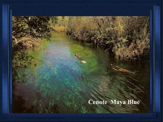 Cenote  Maya Blue 