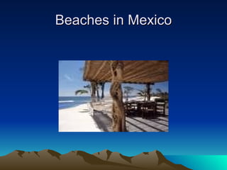 Beaches in Mexico 