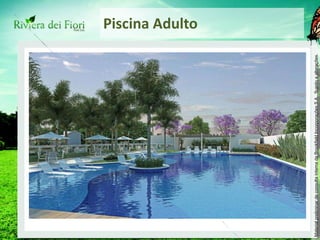 Piscina Adulto 