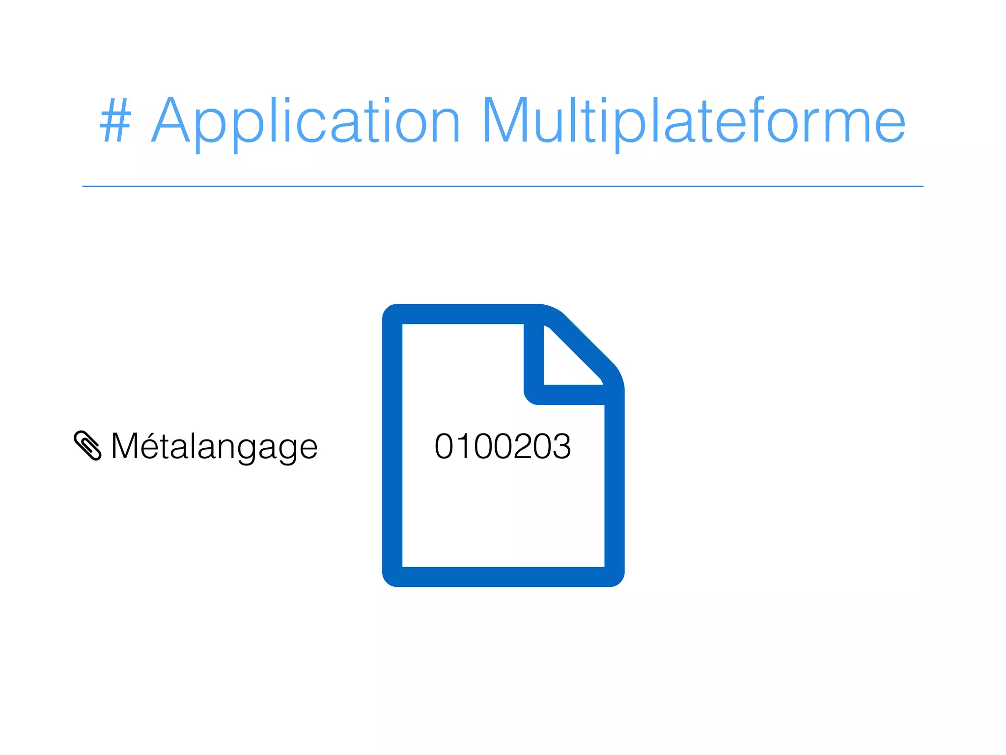# Application Multiplateforme
?0100203> Métalangage
 