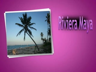  Riviera Maya 