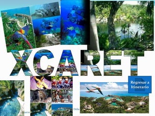 Regresar a
                                                                               Itinerario




                              www.texcoco-travel.com Delia Gallegos Bugarin.
sábado, 10 de marzo de 2012   Enrique Lucio.                                          10
 