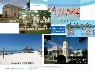 UMÁN YUCATÁN                                                               RÍA CELESTÚN

                                                                Regresar a
                                                                Itinerario




                                                                                  PASEO MONTEJO
        PLAYA EN CELESTÚN                                                                MERIDA
                              www.texcoco-travel.com Delia Gallegos Bugarin.
sábado, 10 de marzo de 2012   Enrique Lucio.                                                      7
 