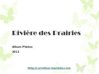 Rivière des Prairies
Album Photos
2013
http://carrefour-mariebo.com
 