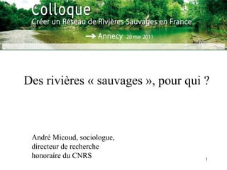 Des rivières « sauvages », pour qui ? André Micoud, sociologue, directeur de recherche honoraire du CNRS 