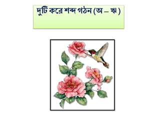 দুটি কলরশব্দগঠন (অ্ –ঋ)
 