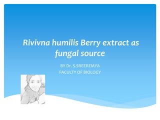 Rivivna humilis Berry extract as
fungal source
BY Dr. S.SREEREMYA
FACULTY OF BIOLOGY
 