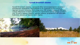 Суський ботанічний заказник
Суський ботанічний заказник – природний об’єкт загальнодержавного значення із
мальовничим ландшафтом. Розташований за 26 кілометрів від Костополя на
території Суського лісництва. Його площа сягає 298 гектарів. Створений 1984 року
з метою збереження типового для Полісся старовікового масиву дубово-соснового
лісу. Тут росте чорниця, конвалія, перлівка поникла, зустрічаються 250-літні дуби.
Є рослини, занесені до Червоної книги України.
 
