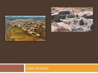 Insediamenti del neolitico
Gaia Abrescia
 